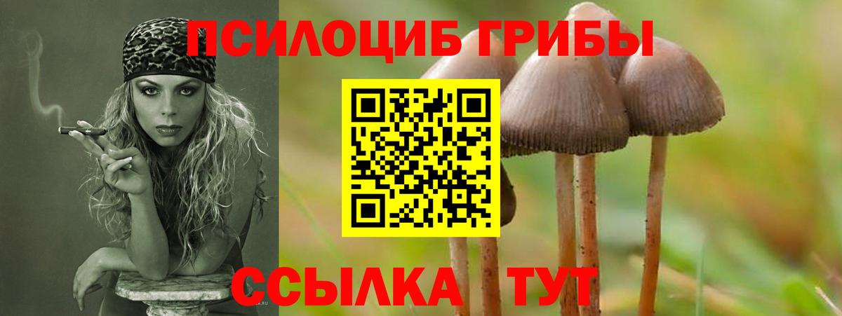 Псилоцибиновые грибы прущие грибы Карпинск